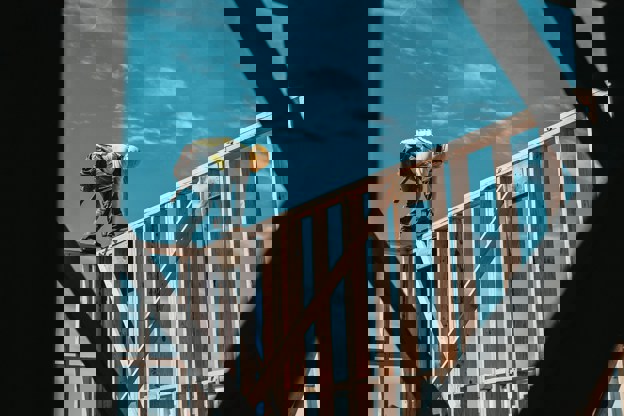 construction worker on site